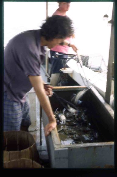 065  1995 claiborne md  crabbin boat065