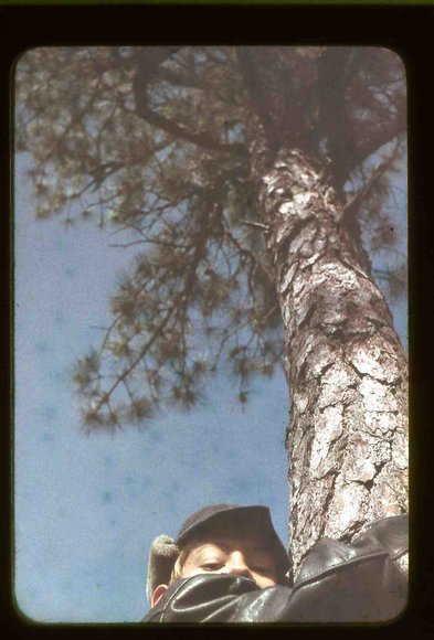 034  greg  pine tree coon skin cap034