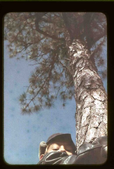 034  greg  pine tree coon skin cap034