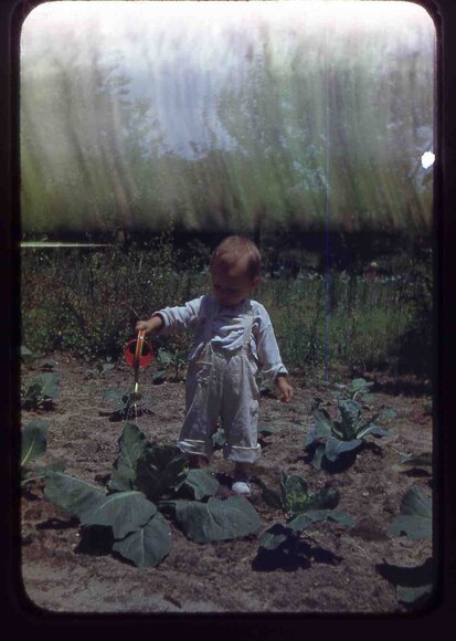 05  greg  molnar farm 1949005