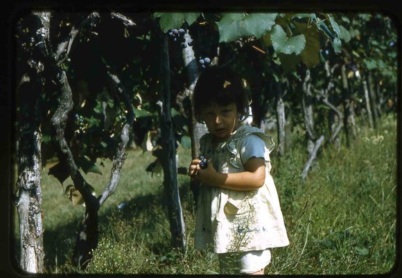 033  Baby Therese   1954 molnar farm033