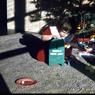 087 therese Christmas Hicksville 1954 087