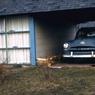107  1956  Hicksville  107
