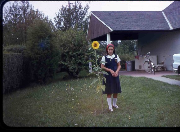 143 Therese 1961  Hicksville  143