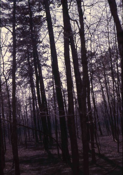 farm_may_1963023