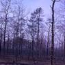 farm_may_1963_5016