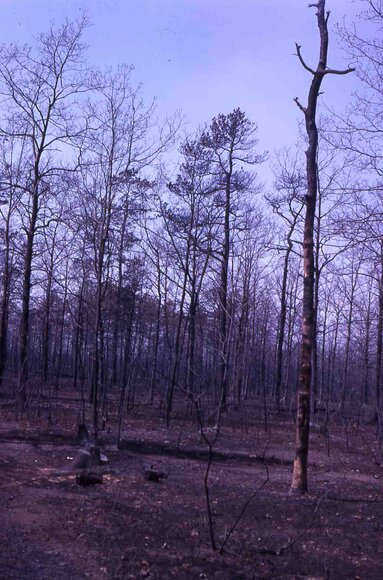 farm_may_1963_5016