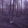 farm_may_1963_8019
