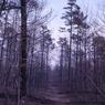 farm_may_1963_9020