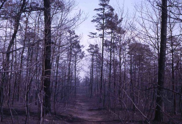 farm_may_1963_9020
