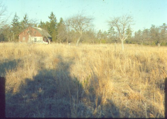 farm2_jan_73