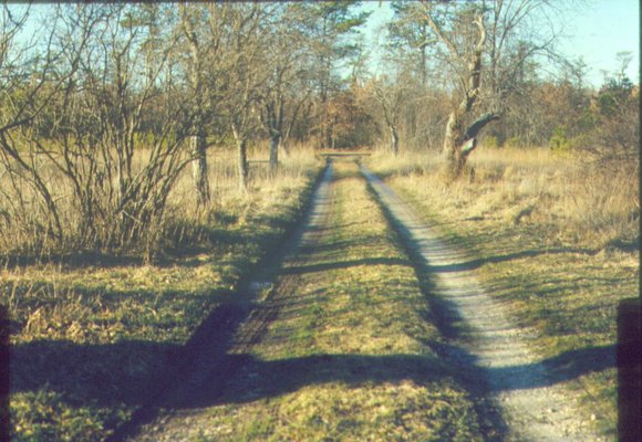 farm_ddriveway_jan_78