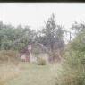 farm_march_1976010