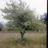 farm_march_1976_3014