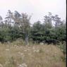 farm_march_1976_4015