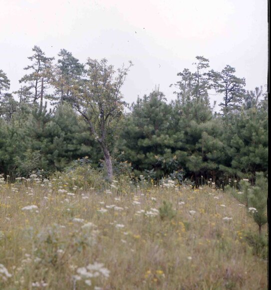 farm_march_1976_4015