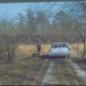 farm_merc_adame