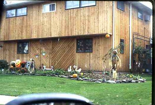 34_Arrow_Lane_Lois_Levy_s_House039