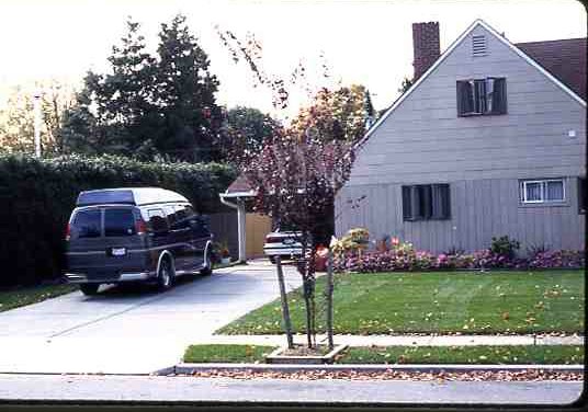 56_Alpine_Lane_4030