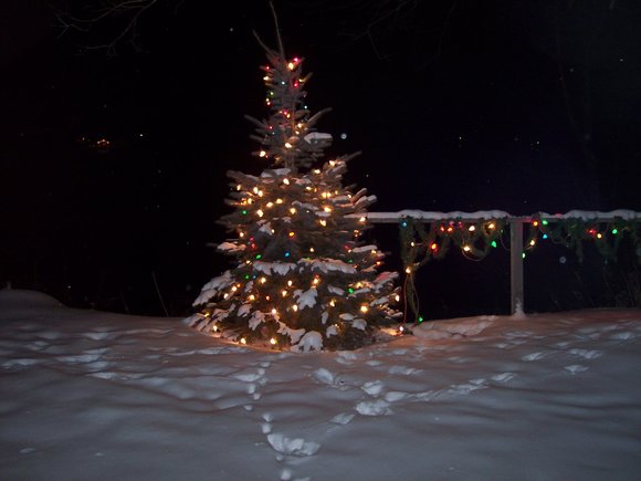 Picture_0050