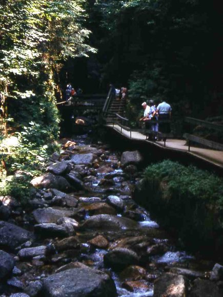 47_camping_trip_1959_New_Hamphsire_Flume047