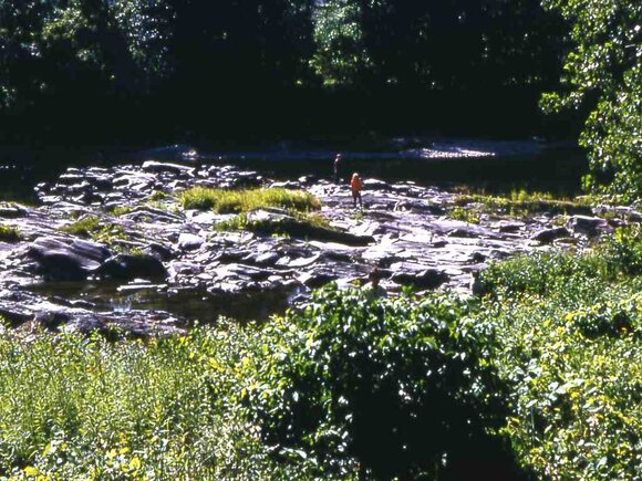 48_camping_trip_1959_New_Hamphsire_Flume048