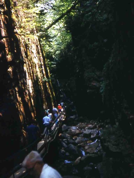 49_camping_trip_1959_New_Hamphsire_Flume049