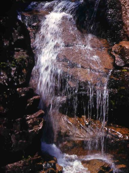 50_camping_trip_1959_New_Hamphsire_Flume050