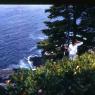 75_camping_trip_1959075
