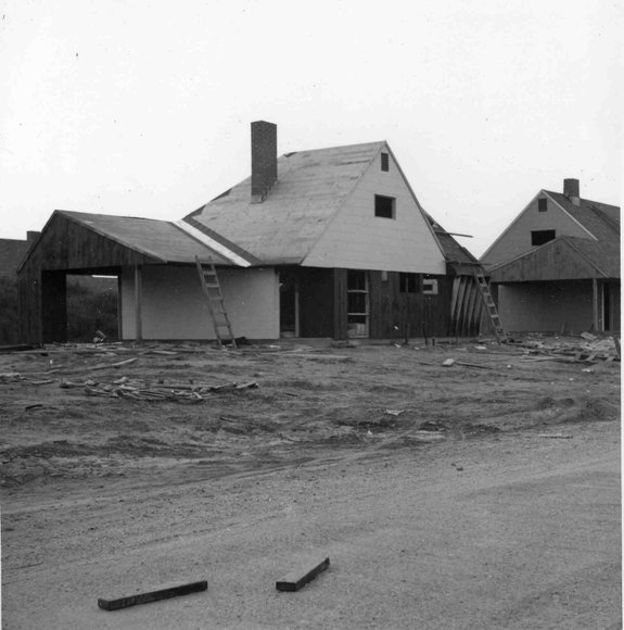 123_building_56_alpine_lane_Hicksville123