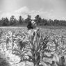 001_Mary_Molnar_Carr_on_the_farm001