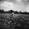 008_Mary_Molnar_Carr_on_the_farm008