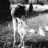 054_Bernadette_Farm_nj054