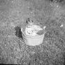 077_Bernadette_Strockbine_farm_nj077