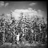 095_Bernadette_Farm095