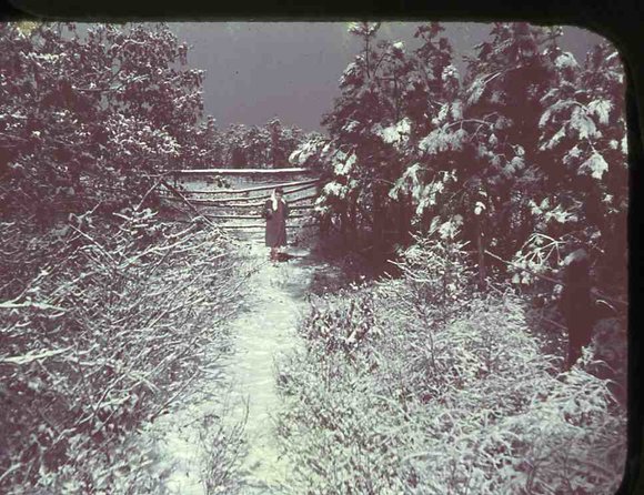 002_Mary_Molnar_Carr_Farm002
