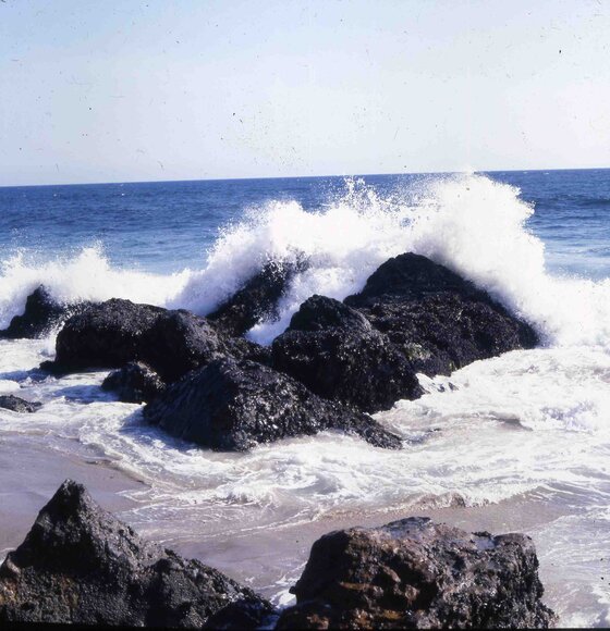 004californiadreamin004