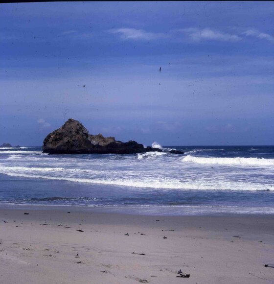 006californiadreamin006