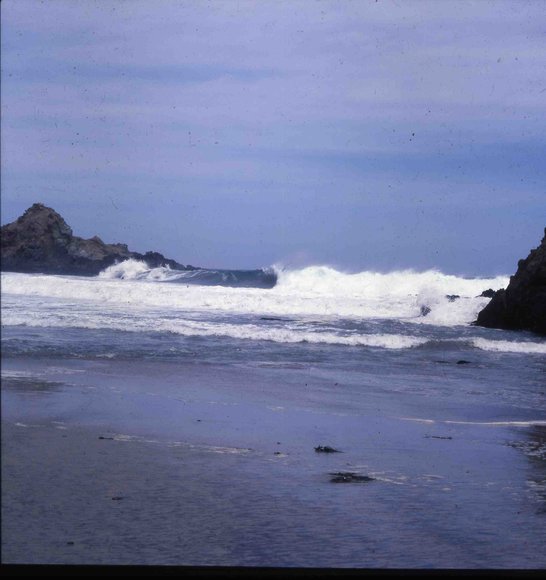 008californiadreamin008