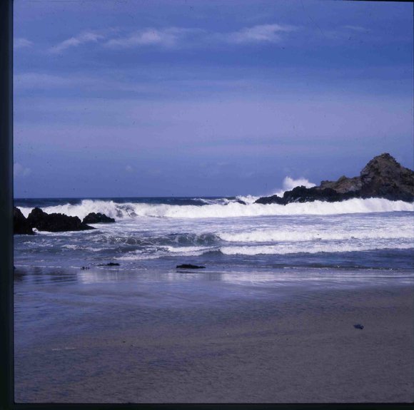 010californiadreamin010