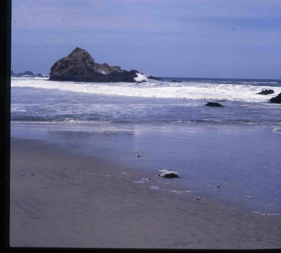 013californiadreamin013
