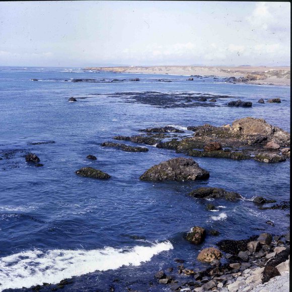015californiadreamin015