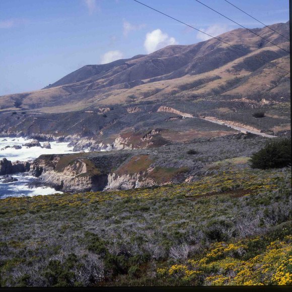 018californiadreamin018