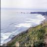 025californiadreamin025