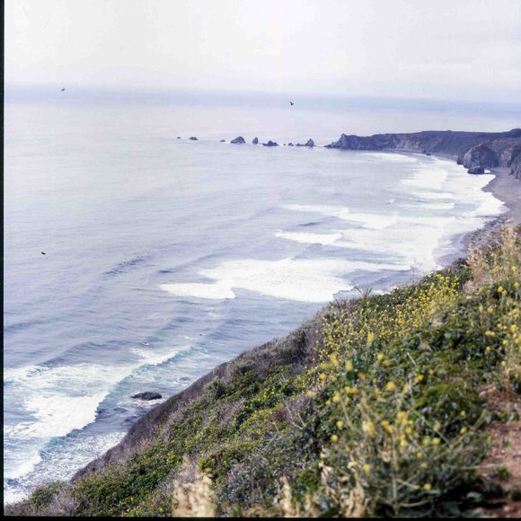025californiadreamin025