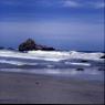 026californiadreamin026