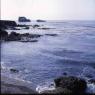 028californiadreamin028
