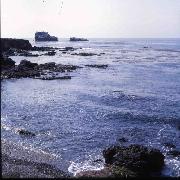 028californiadreamin028