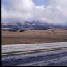 029californiadreamin029