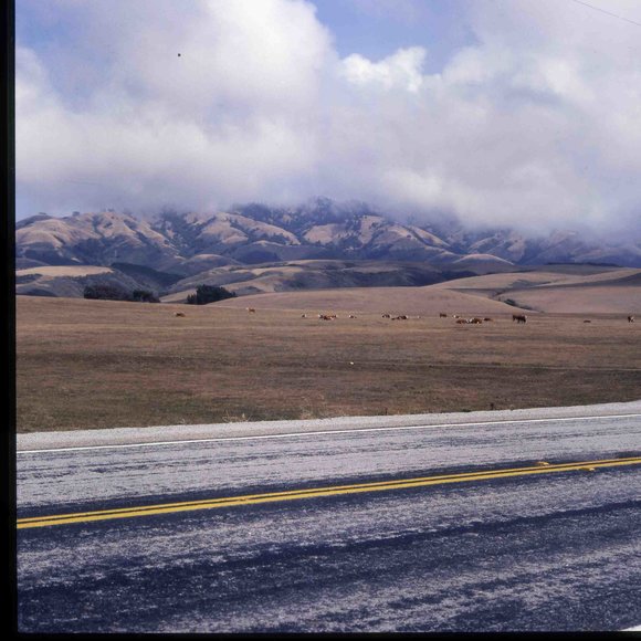 029californiadreamin029